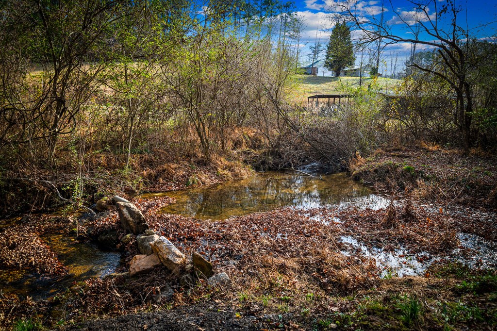 1779 Madola Road Epworth, GA 30541 - Photo 79 of 79