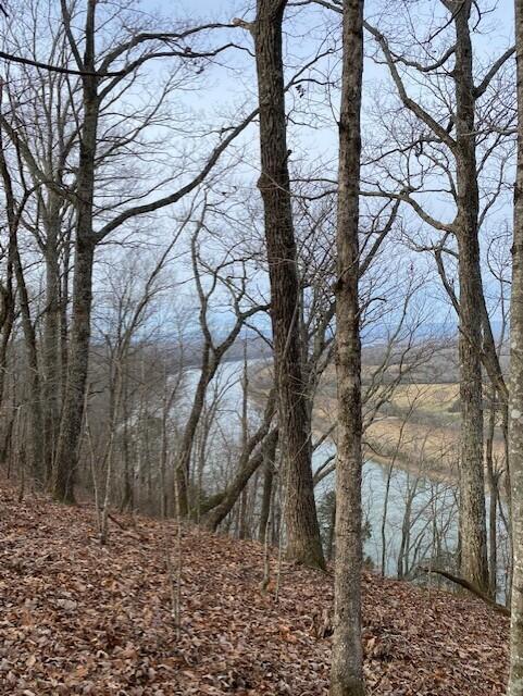 6 River Road, Unit 6 Decatur, TN 37322 - Photo 2 of 8 20230127203350851615000000-o