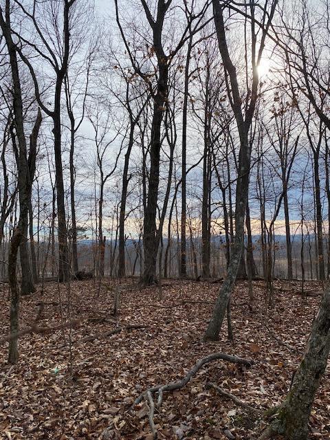 6 River Road, Unit 6 Decatur, TN 37322 - Photo 4 of 8 20230127203400215104000000-o