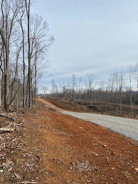 6 River Road, Unit 6 Decatur, TN 37322 - Photo 6 of 8 20230127203403380849000000-o