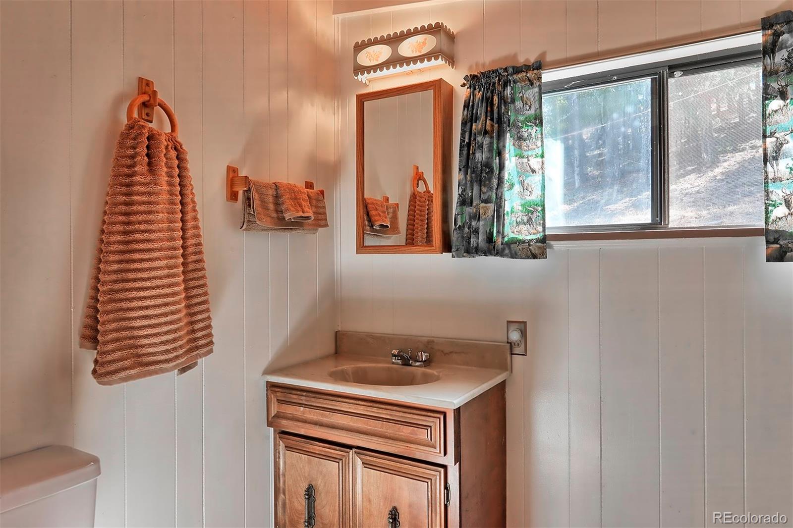 1089 Burland Drive Bailey, CO 80421 - Photo 18 of 27 Gallery Image 18