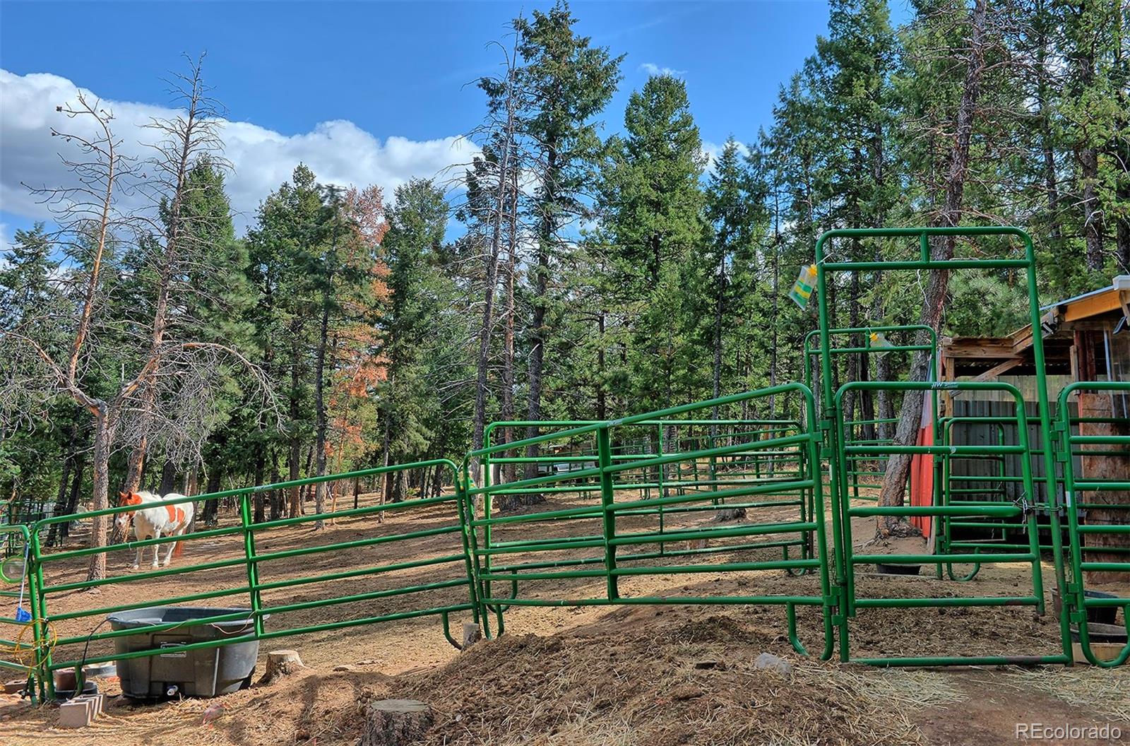 1089 Burland Drive Bailey, CO 80421 - Photo 20 of 27 Gallery Image 20