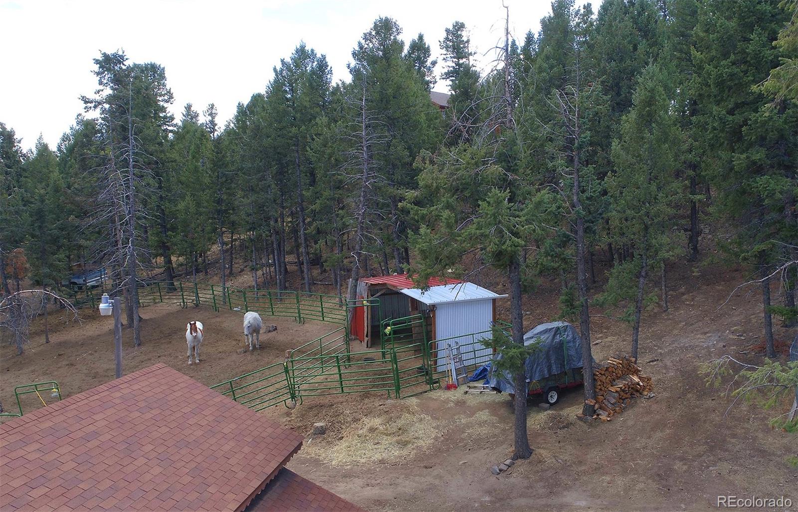 1089 Burland Drive Bailey, CO 80421 - Photo 25 of 27 Gallery Image 25