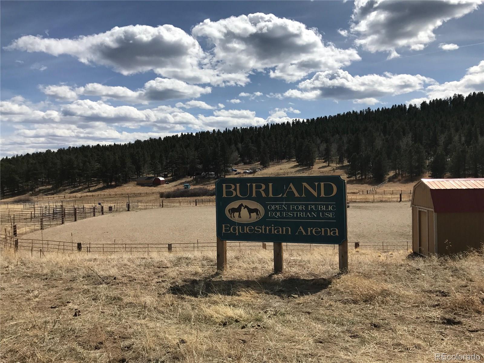 1089 Burland Drive Bailey, CO 80421 - Photo 26 of 27 Gallery Image 26