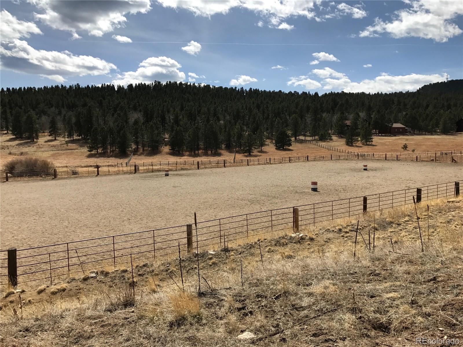 1089 Burland Drive Bailey, CO 80421 - Photo 27 of 27 Gallery Image 27