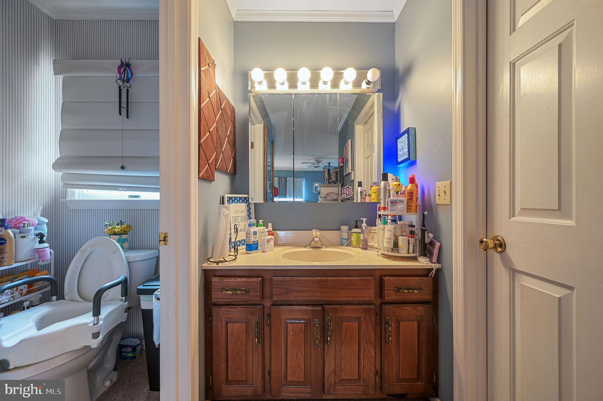 11142 Log Cabin Road Denton, MD 21629 - Photo 31 of 55 a bathroom with a sink vanity and mirror