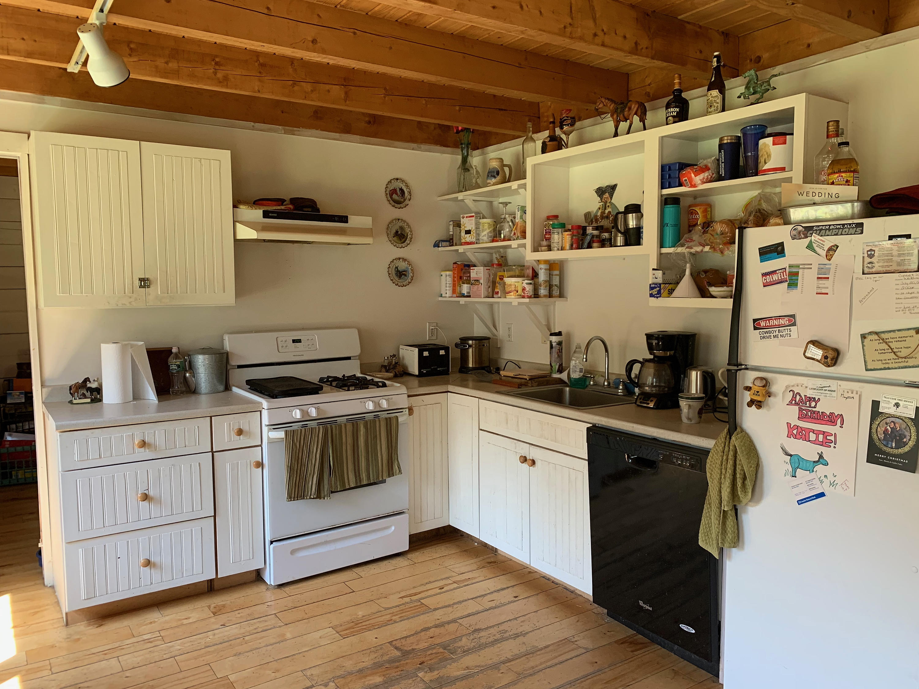 310 Castine Road Castine, ME 04421 - Photo 7 of 42 310CastineRoad_006