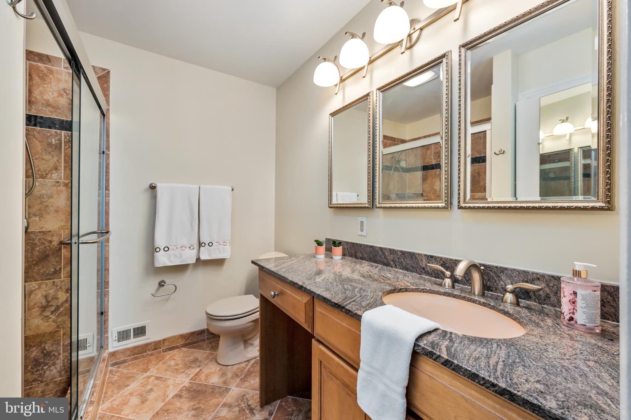 2105 Bucknell Terrace, Unit 46 Silver Spring, MD 20902 - Photo 16 of 40 Primary Bathroom