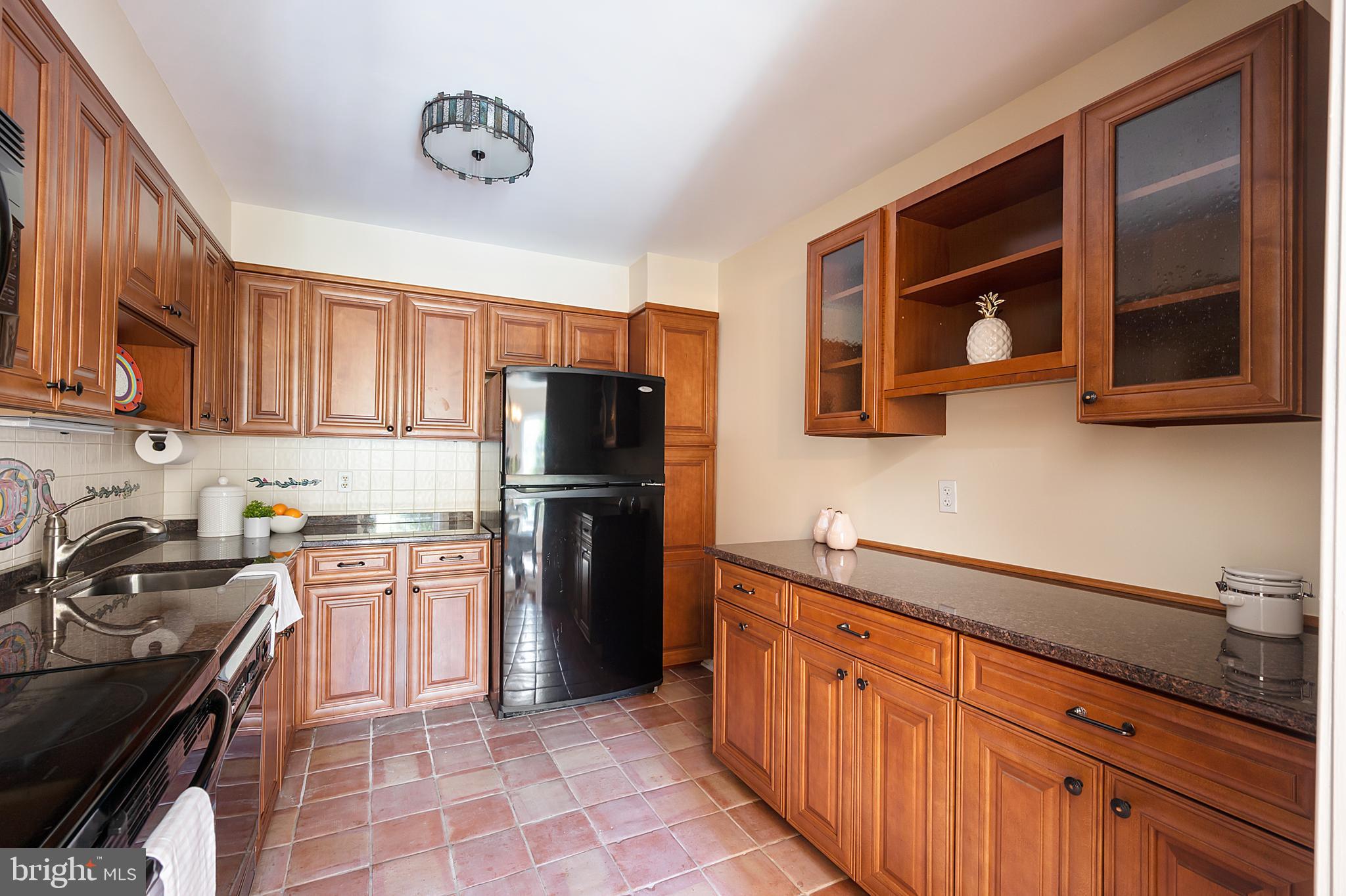 2105 Bucknell Terrace, Unit 46 Silver Spring, MD 20902 - Photo 8 of 40 Kitchen alt view