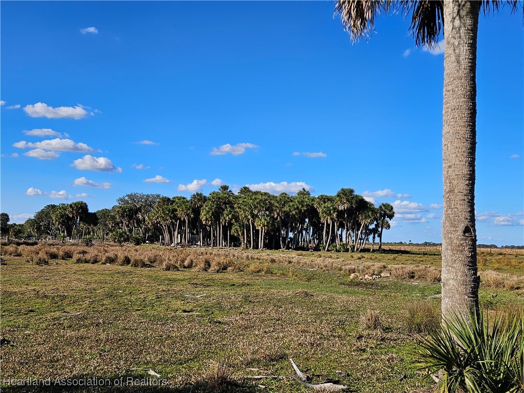 320 Grigsby Road Venus, FL 33960 - Photo 3 of 21 a view of a field with outside view
