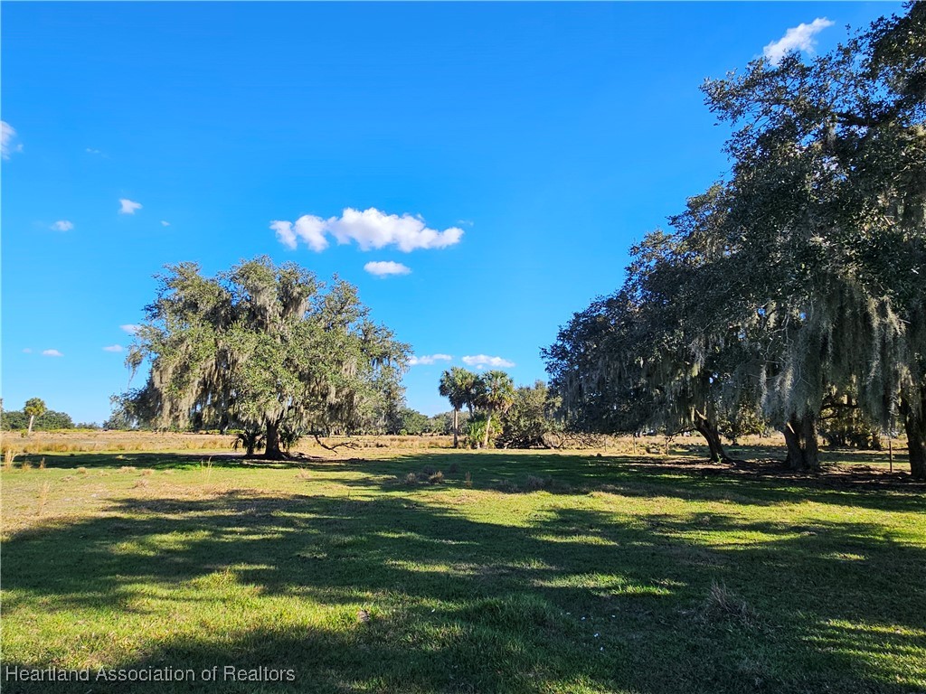 320 Grigsby Road Venus, FL 33960 - Photo 9 of 21 a view of swimming pool with a yard