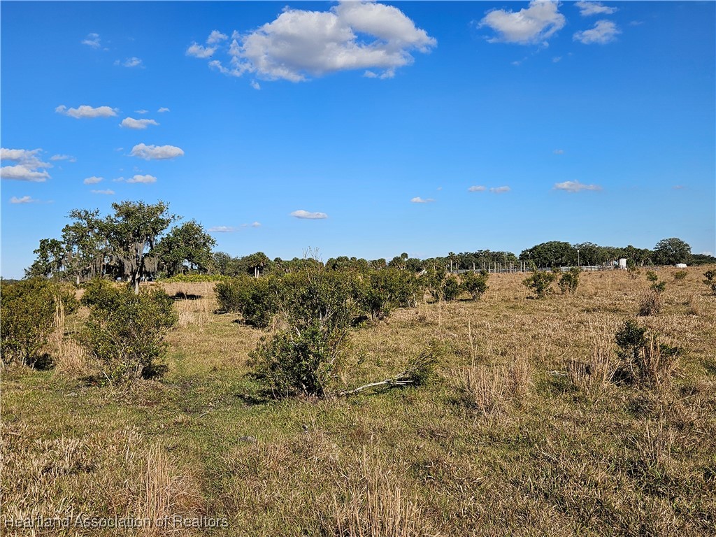 320 Grigsby Road Venus, FL 33960 - Photo 10 of 21 a view of a sky