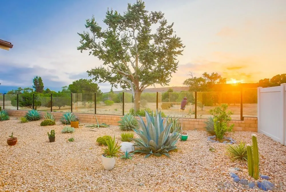 31534 Calle De Las Rosas Bonsall, CA 92003 - Photo 20 of 27 a view of a yard with a tree