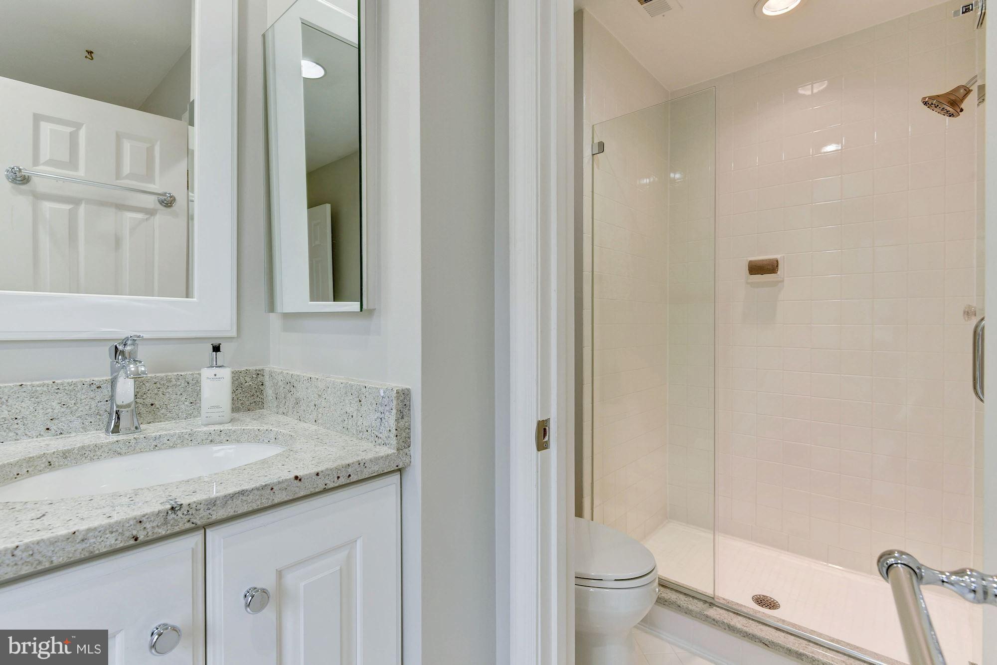 7215 Evans Mill Road McLean, VA 22101 - Photo 19 of 30 Bath (Master)