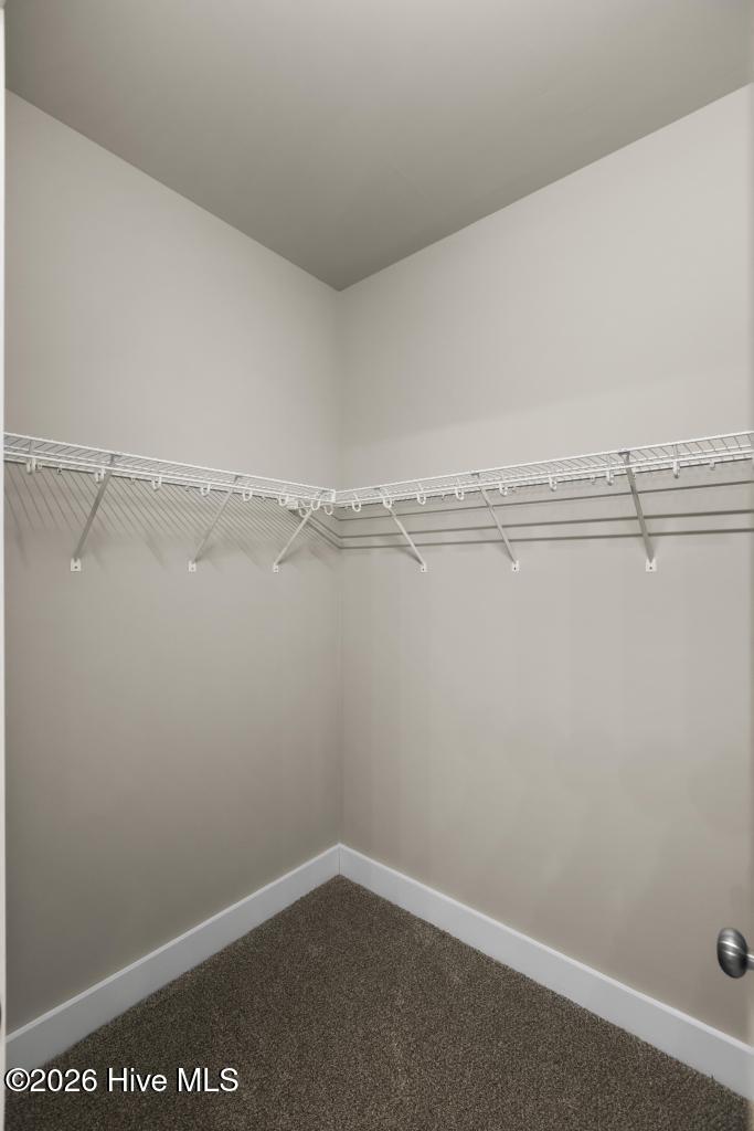 1397 Hammocks Beach Road Swansboro, NC 28584 - Photo 27 of 49 425A2982