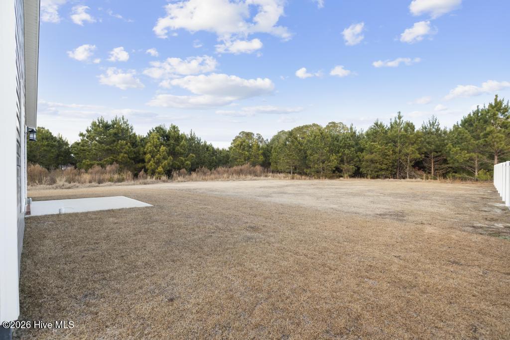 1397 Hammocks Beach Road Swansboro, NC 28584 - Photo 29 of 49 425A2988