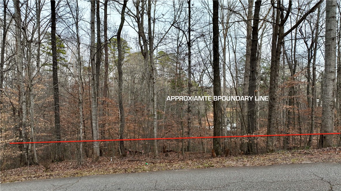 307 Hickory Trail Westminster, SC 29693 - Photo 4 of 10