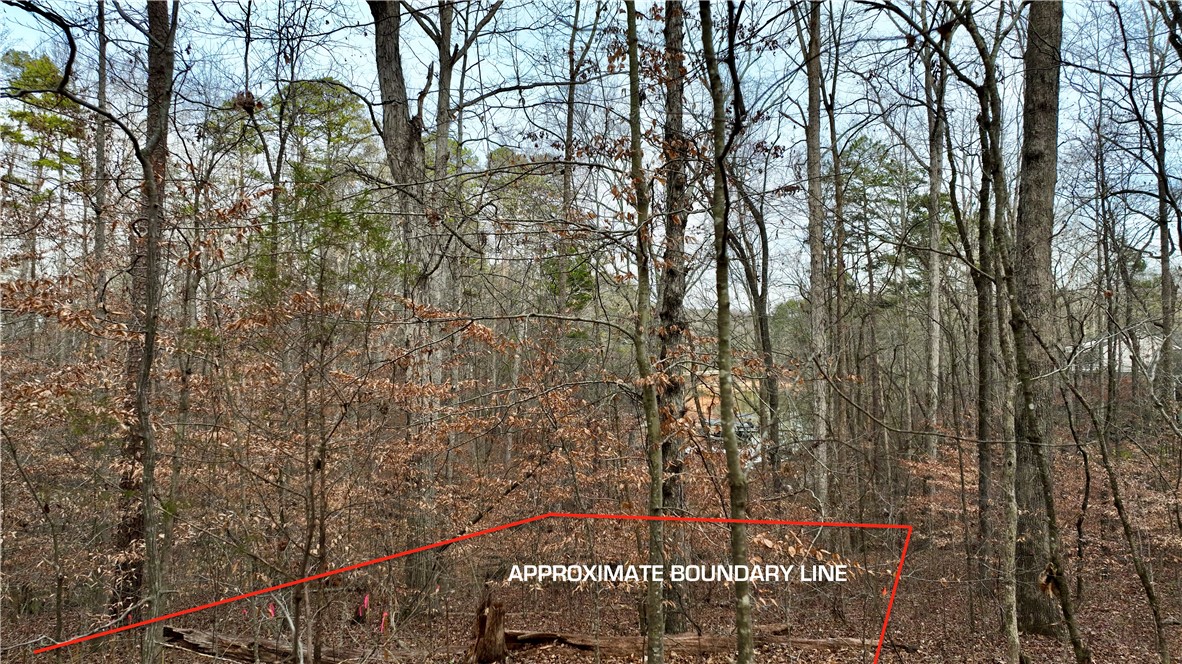 307 Hickory Trail Westminster, SC 29693 - Photo 5 of 10