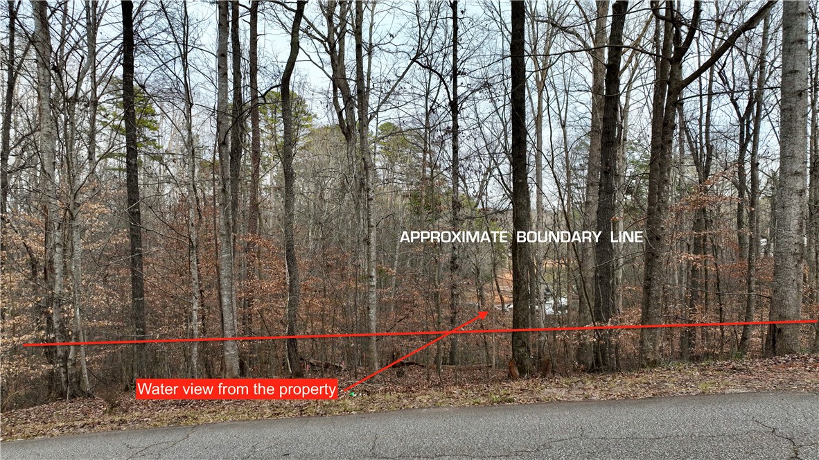 307 Hickory Trail Westminster, SC 29693 - Photo 6 of 10