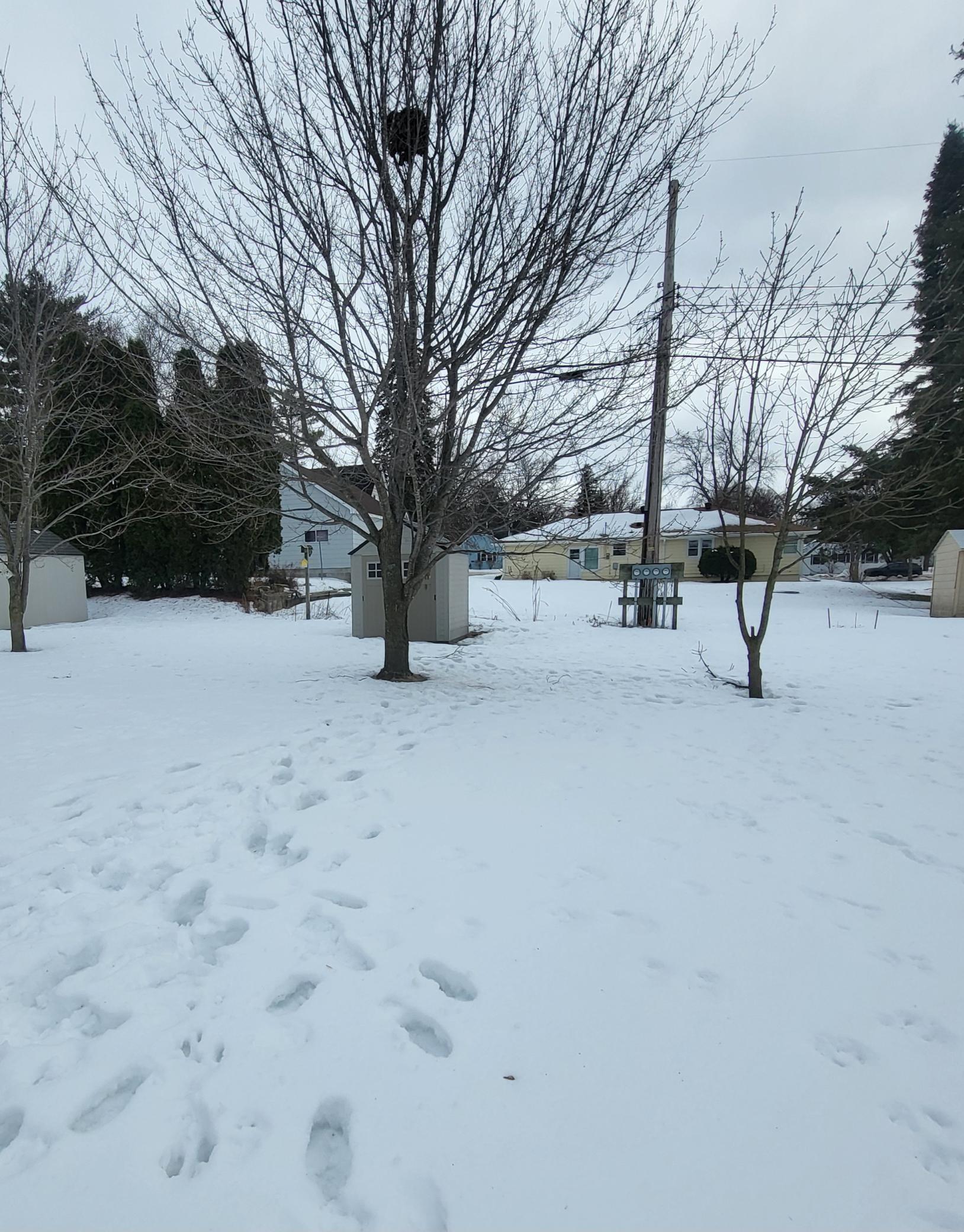 517 Central Avenue Long Prairie, MN 56347 - Photo 15 of 15