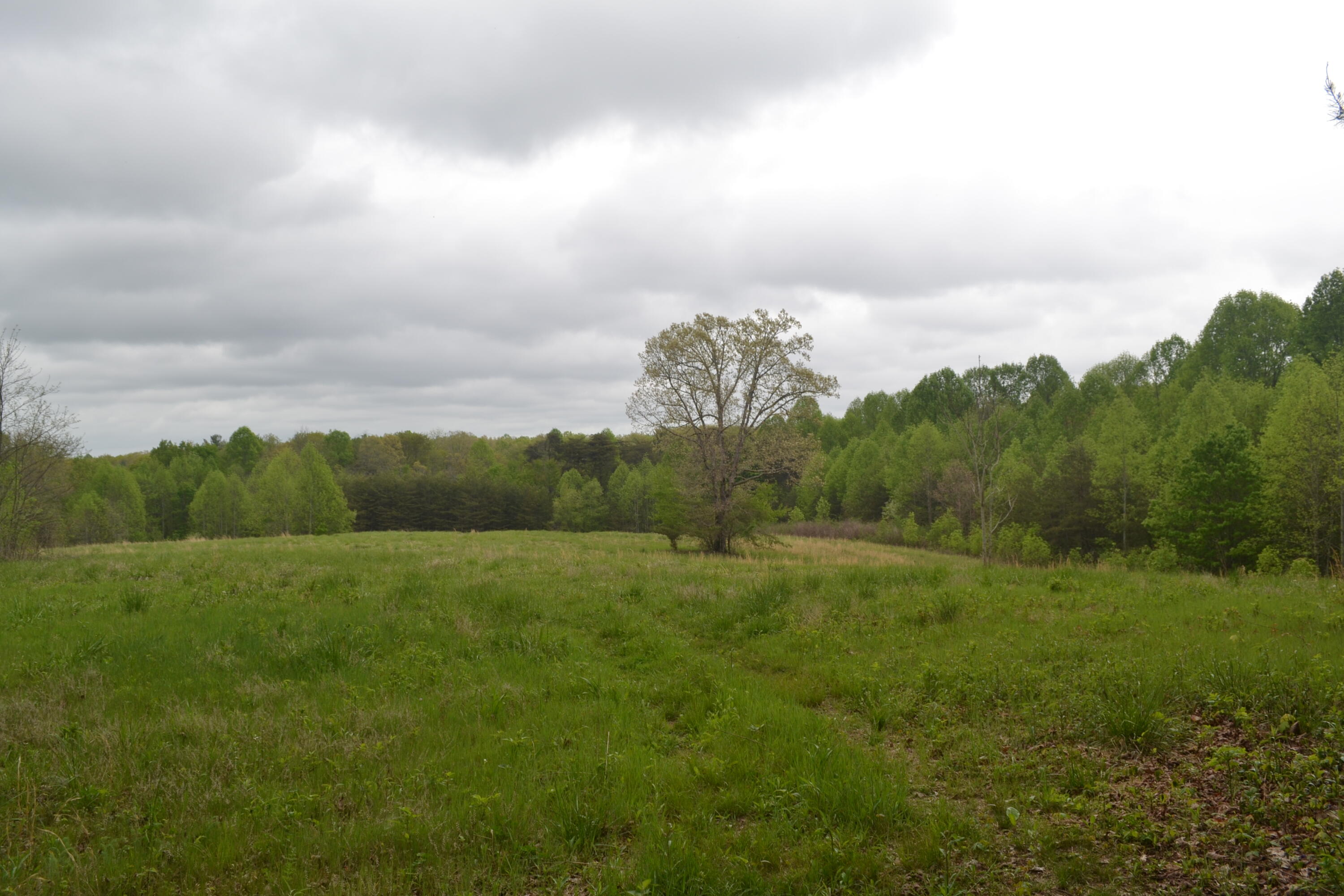 58-ac J B Swafford Road Spring City, TN 37381 - Photo 2 of 19 47