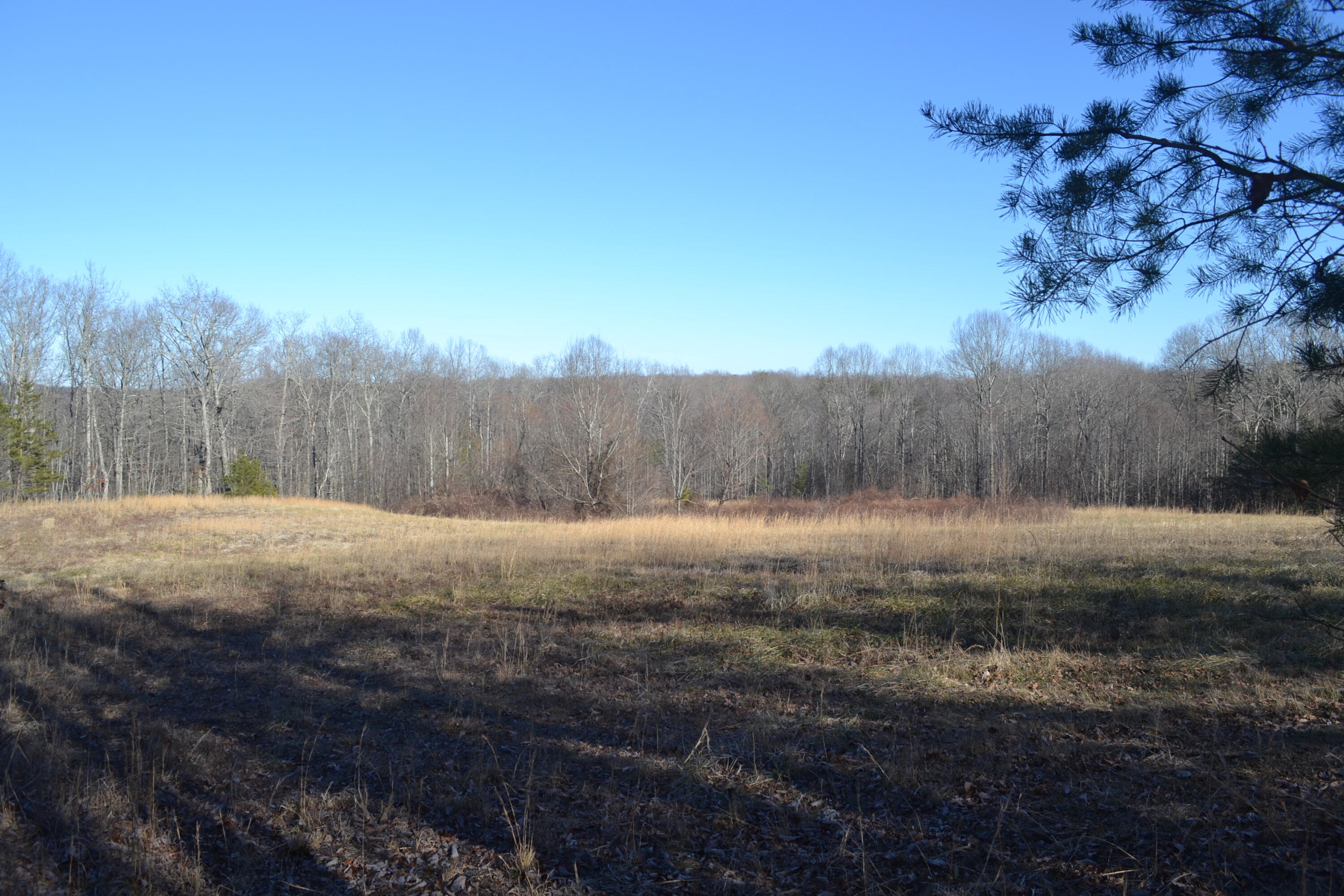 58-ac J B Swafford Road Spring City, TN 37381 - Photo 6 of 19 8