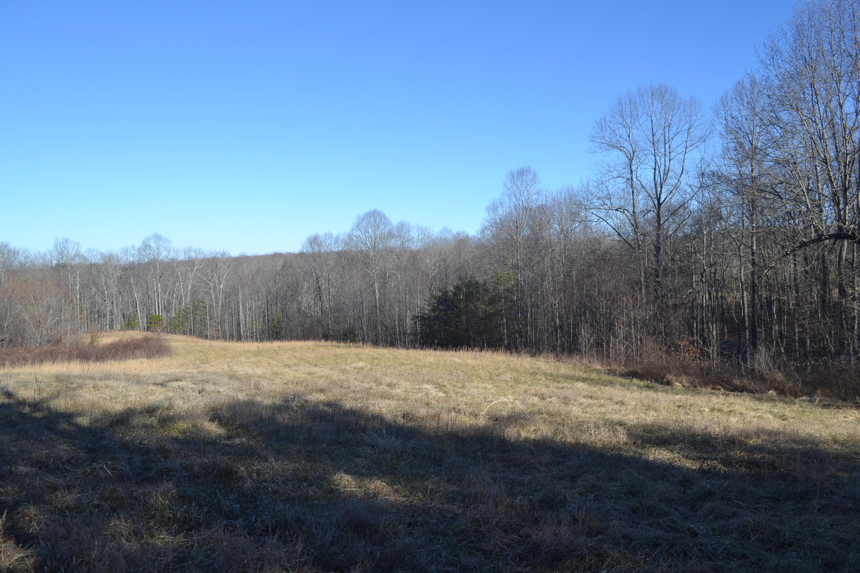 58-ac J B Swafford Road Spring City, TN 37381 - Photo 7 of 19 10
