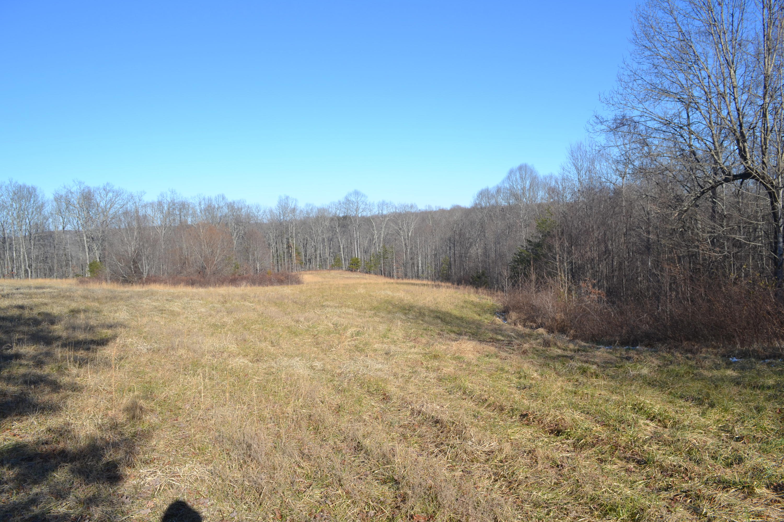 58-ac J B Swafford Road Spring City, TN 37381 - Photo 8 of 19 11