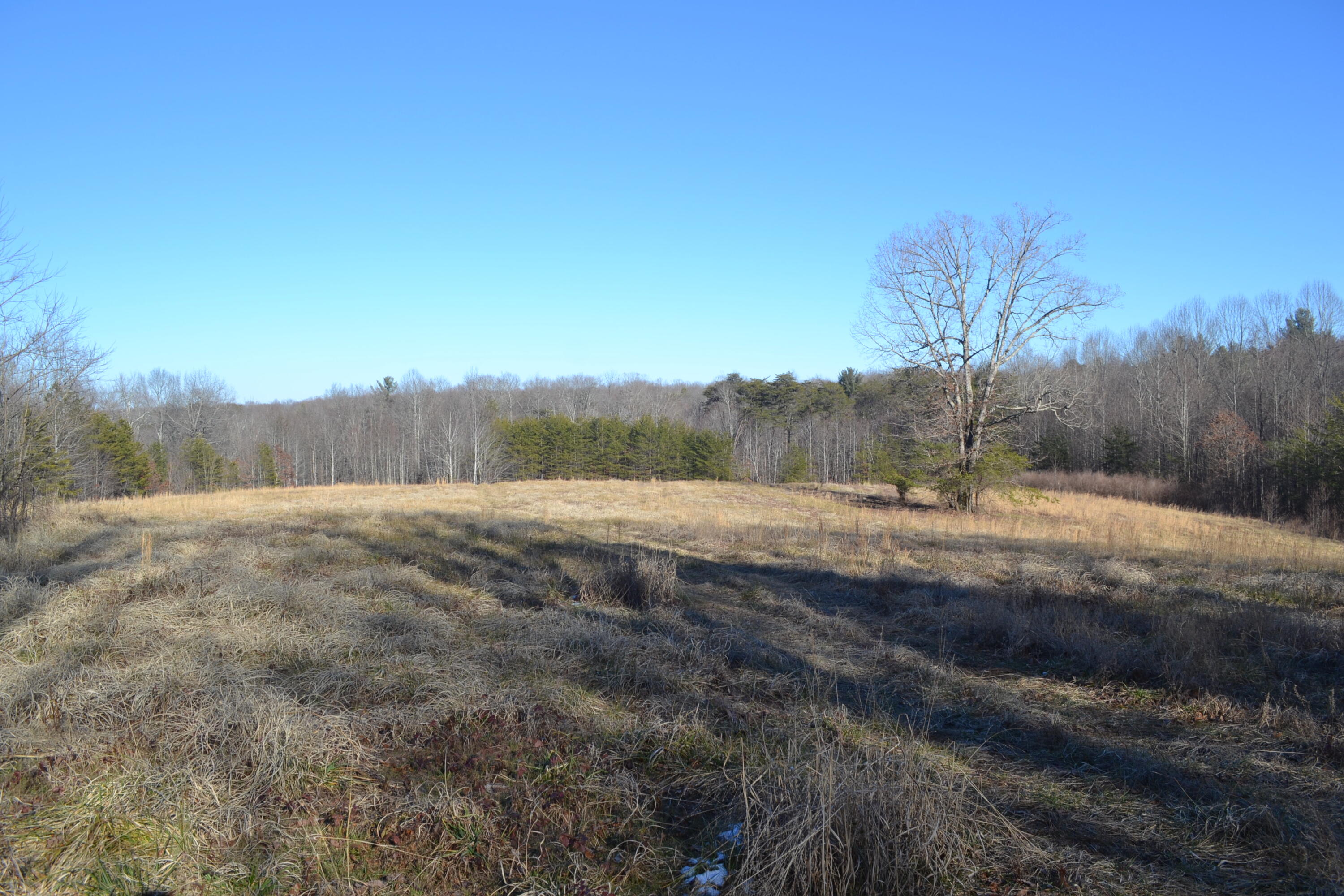 58-ac J B Swafford Road Spring City, TN 37381 - Photo 9 of 19 12