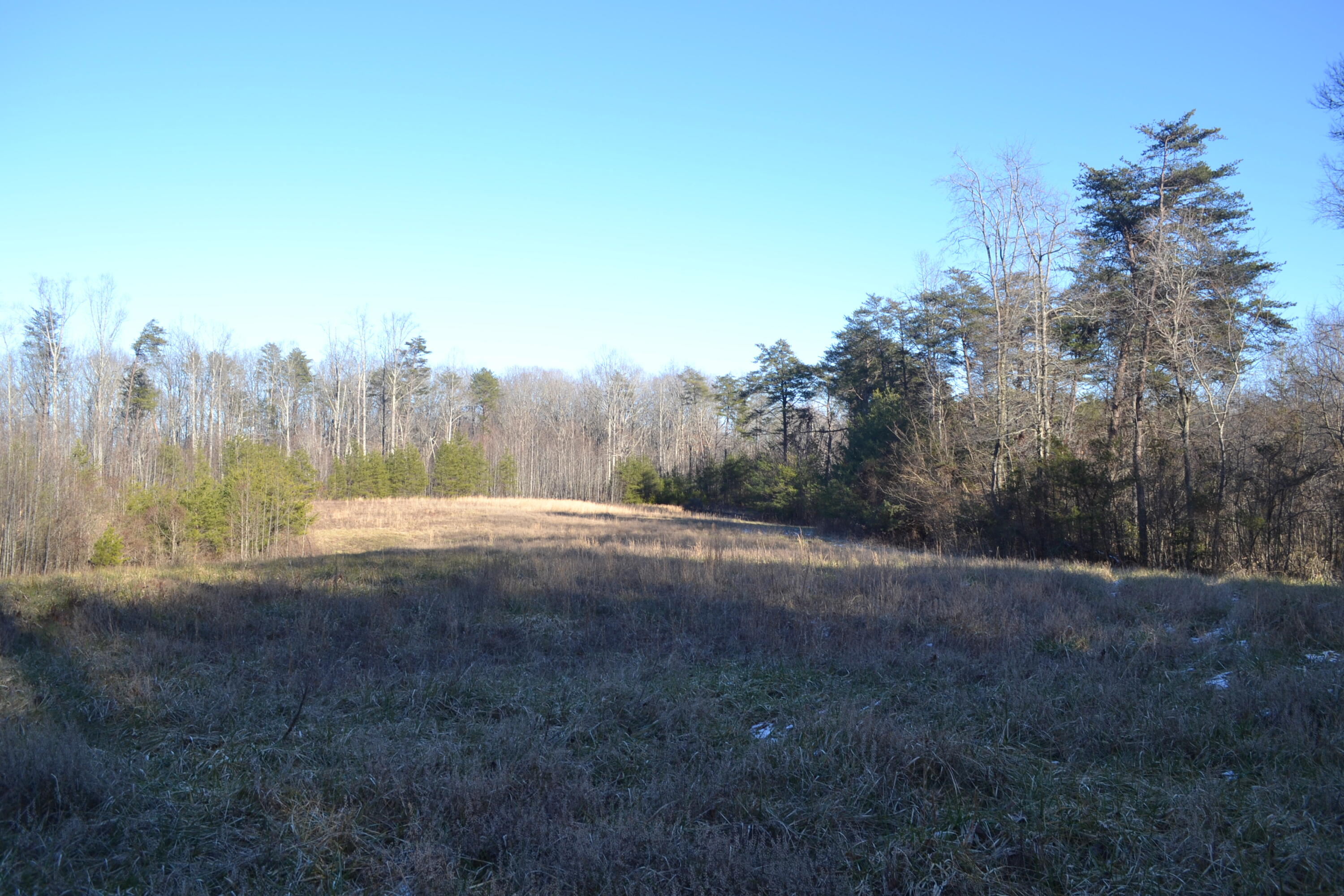 58-ac J B Swafford Road Spring City, TN 37381 - Photo 10 of 19 16