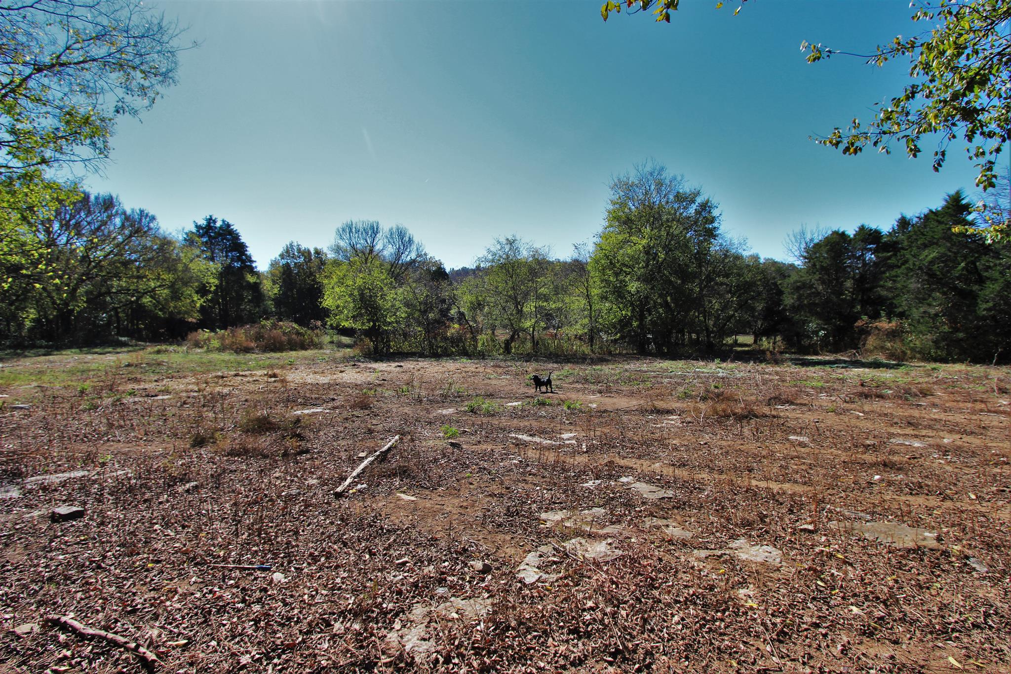 2296 Tracy Road Watertown, TN 37184 - Photo 25 of 29 a view of a field with trees in background