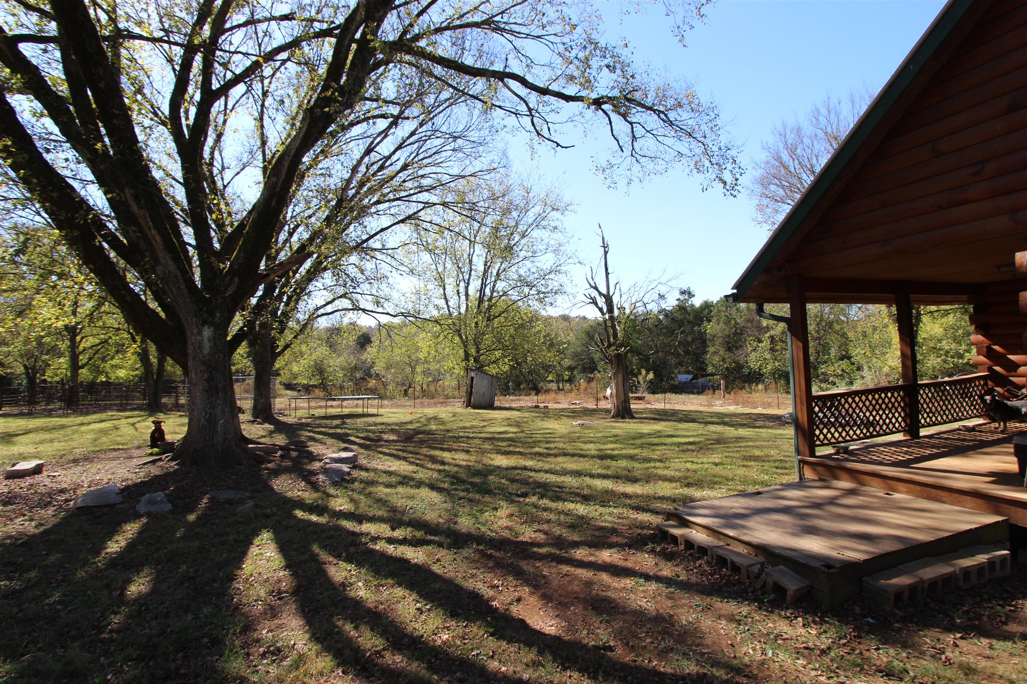 2296 Tracy Road Watertown, TN 37184 - Photo 4 of 29 a view of a yard with an outdoor space