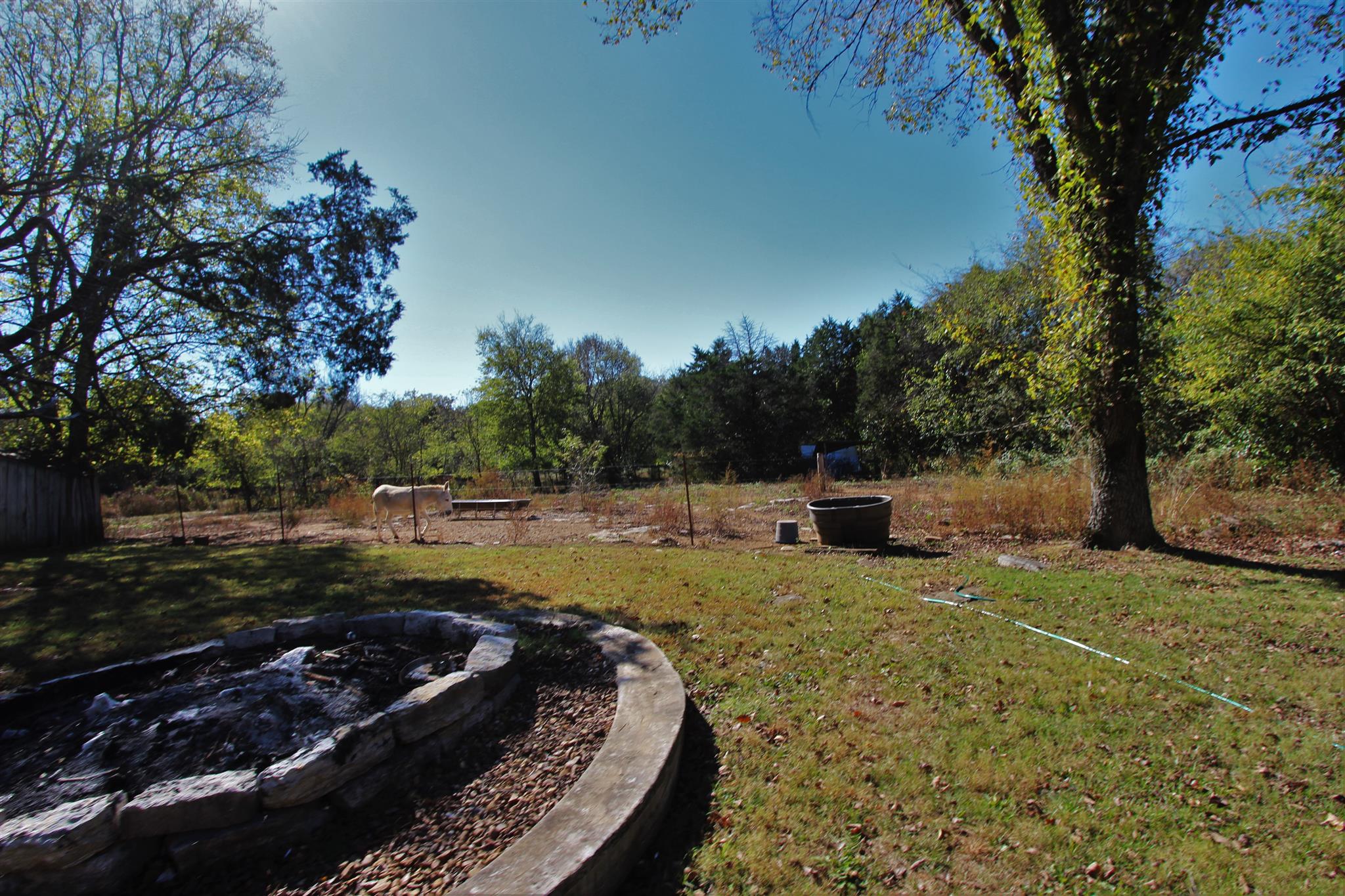 2296 Tracy Road Watertown, TN 37184 - Photo 6 of 29 a view of a backyard with table and chairs under a large tree