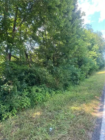 $25,000 | 0 Pinnacle Hotel Road, Pinnacle, NC 27043