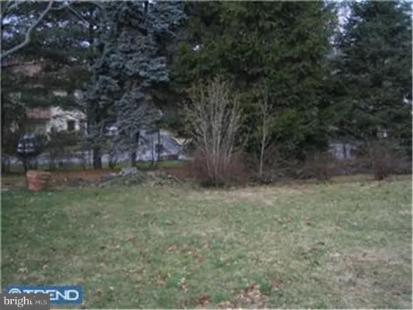 a view of a dry yard with trees