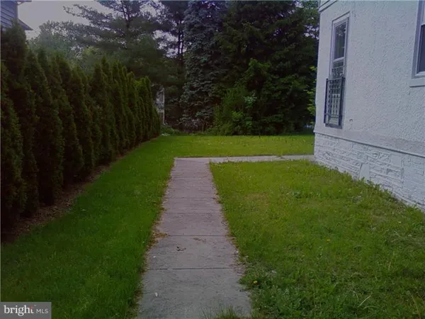 a view of a yard with plants