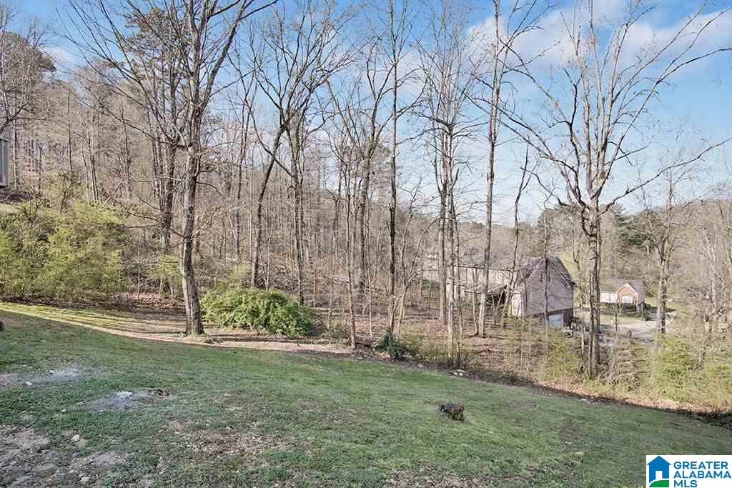 6247 Eagle Ridge Circle Pinson, AL 35126 - Photo 17 of 17
