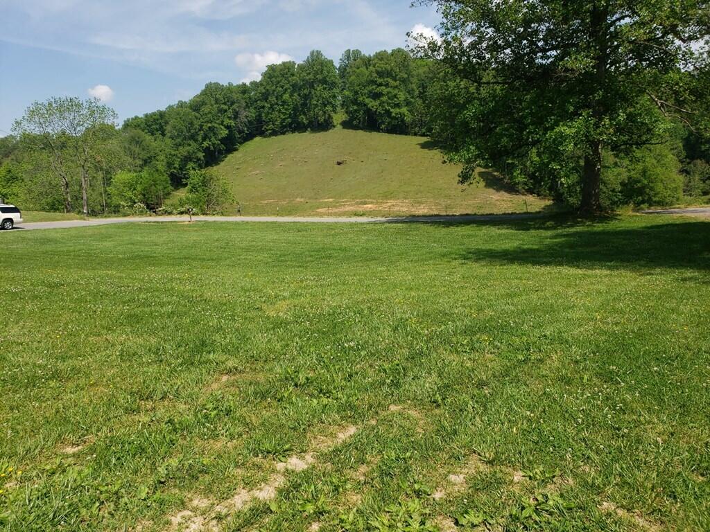 11006 Caney Valley Road Bristol, VA 24202 - Photo 11 of 34 caney v yard