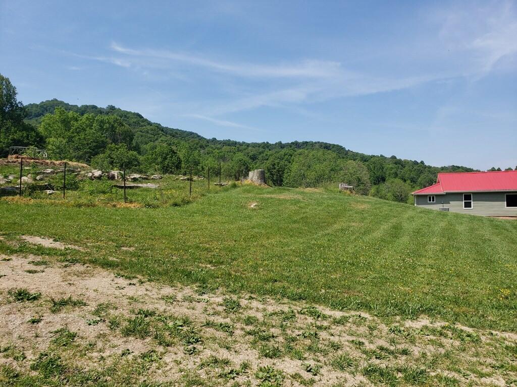 11006 Caney Valley Road Bristol, VA 24202 - Photo 12 of 34 caney v land5