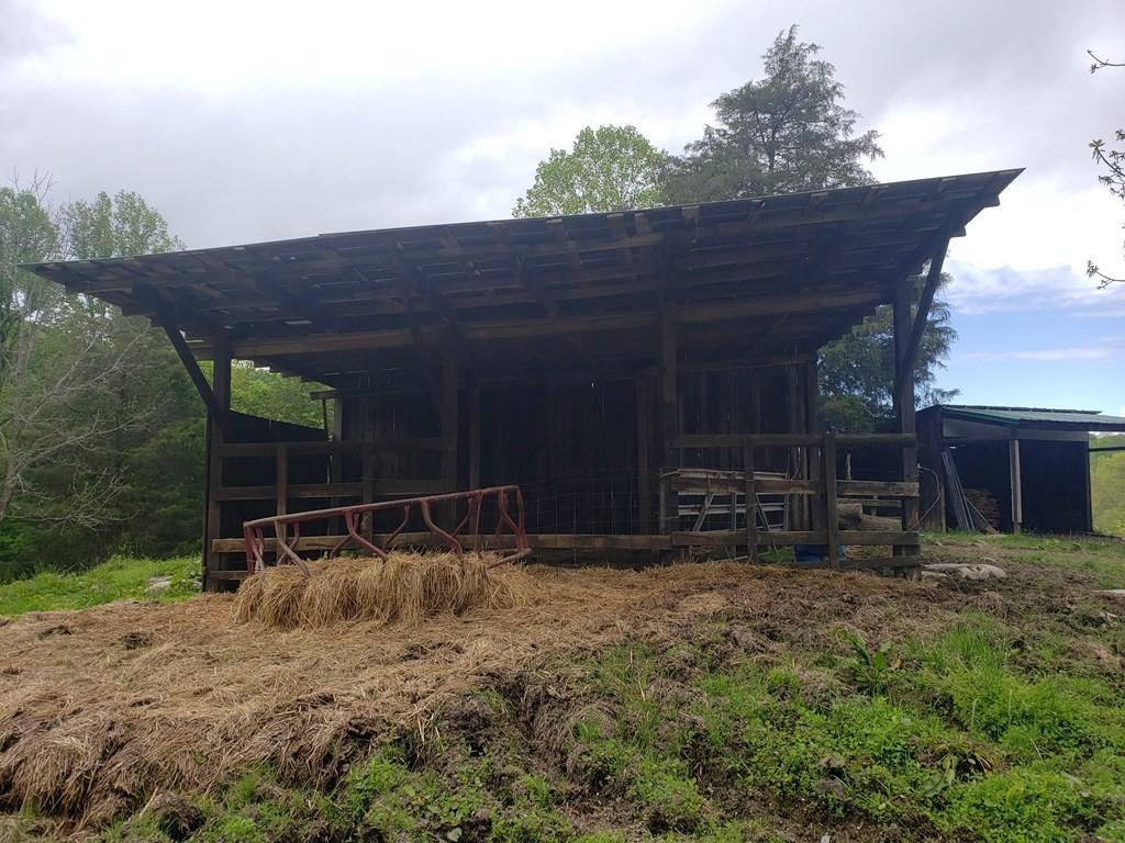 11006 Caney Valley Road Bristol, VA 24202 - Photo 21 of 34 caney v shed2