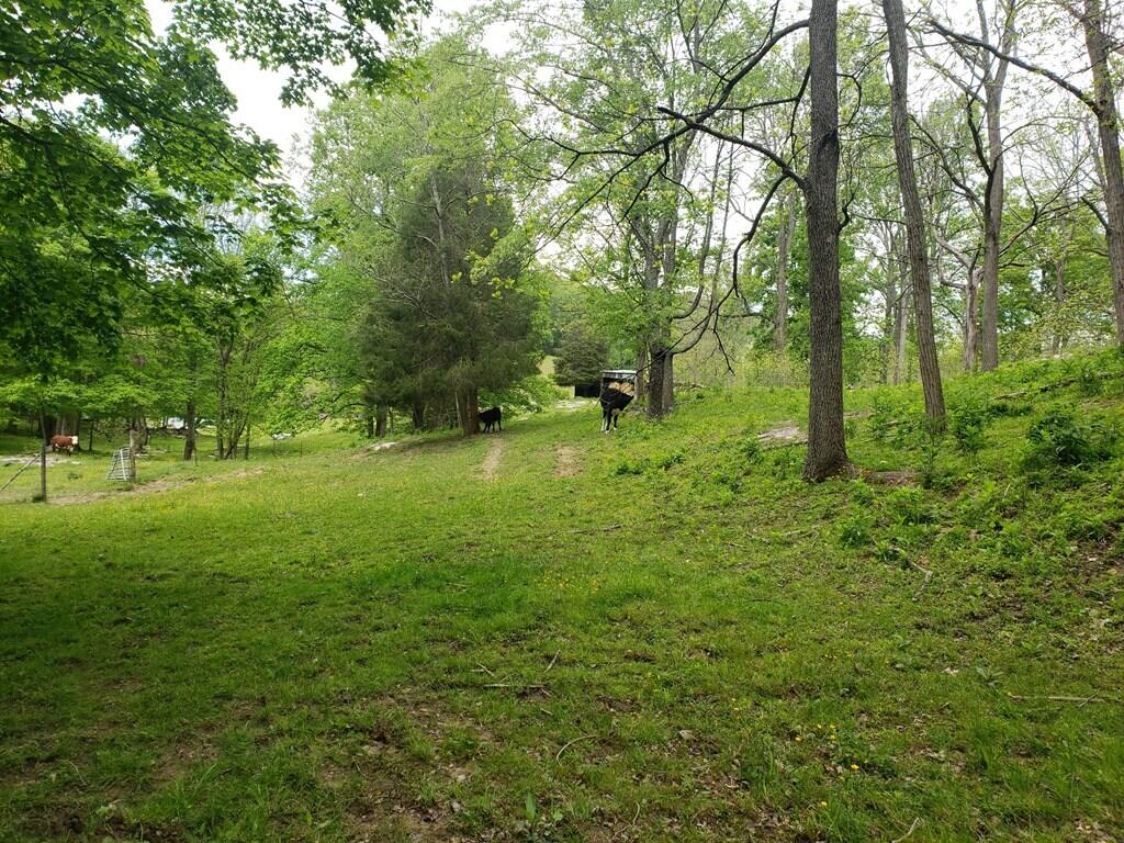 11006 Caney Valley Road Bristol, VA 24202 - Photo 23 of 34 caney v land2