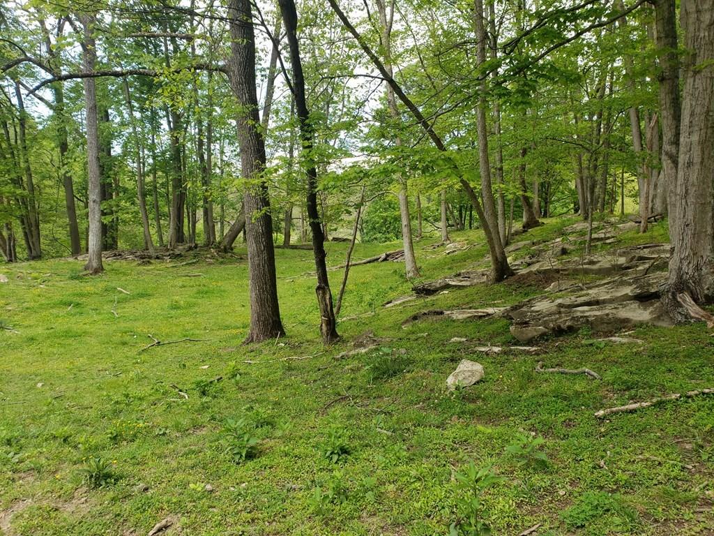 11006 Caney Valley Road Bristol, VA 24202 - Photo 24 of 34 caney v land3