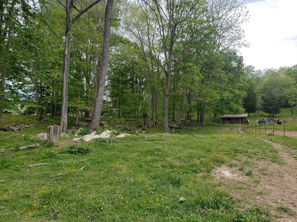 11006 Caney Valley Road Bristol, VA 24202 - Photo 25 of 34 caney v land4