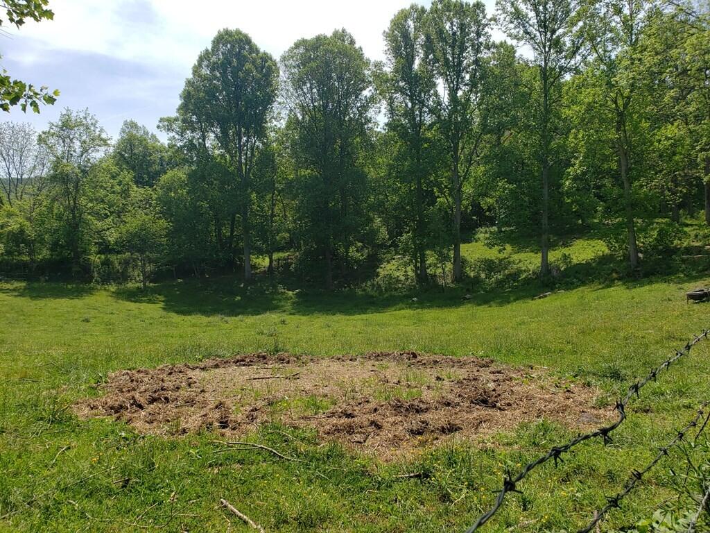 11006 Caney Valley Road Bristol, VA 24202 - Photo 26 of 34 caney v land6