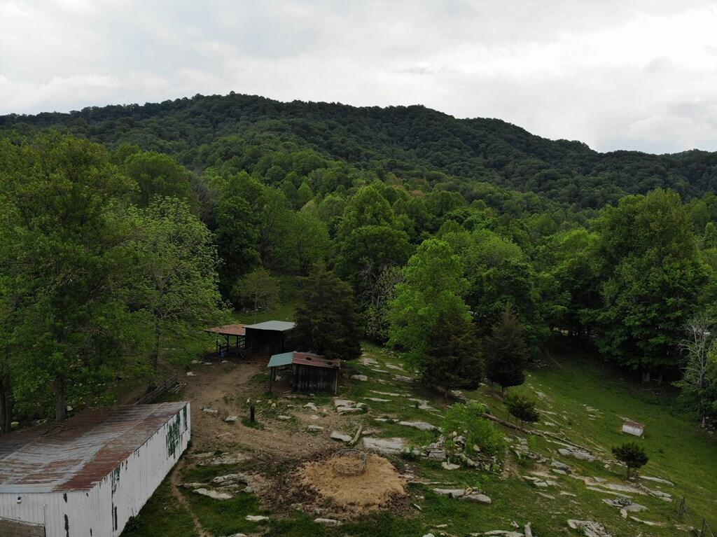 11006 Caney Valley Road Bristol, VA 24202 - Photo 27 of 34 caney v land7