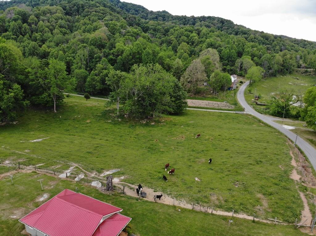 11006 Caney Valley Road Bristol, VA 24202 - Photo 28 of 34 caney v land8