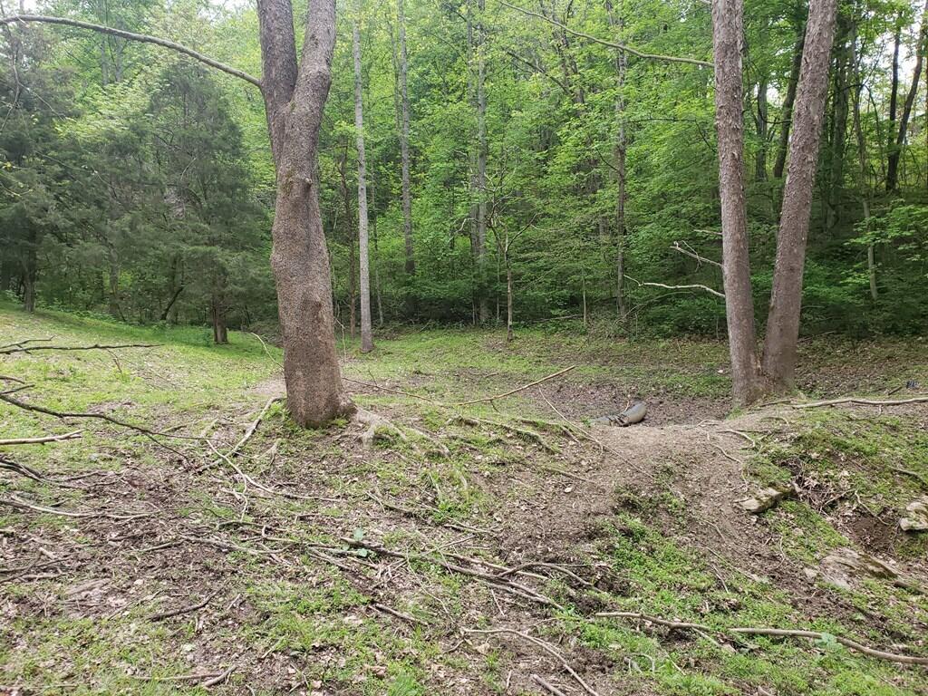 11006 Caney Valley Road Bristol, VA 24202 - Photo 29 of 34 caney v land