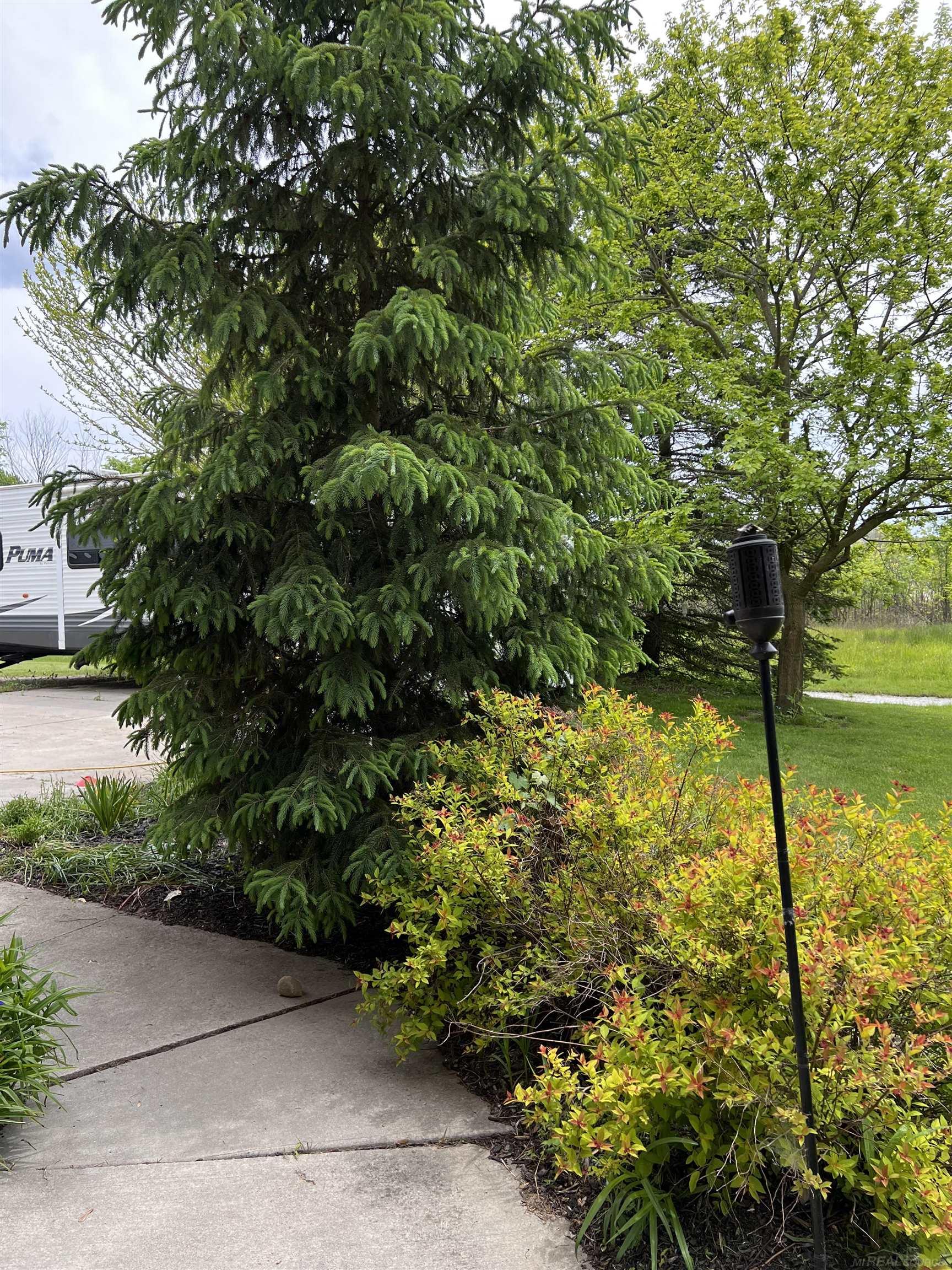 815 Cove Road Goodells, MI 48027 - Photo 83 of 88
