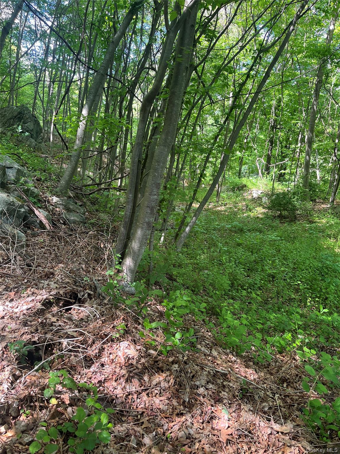 Old Church Road Putnam Valley, NY 10579 - Photo 8 of 26 a big yard with lots of green space and house