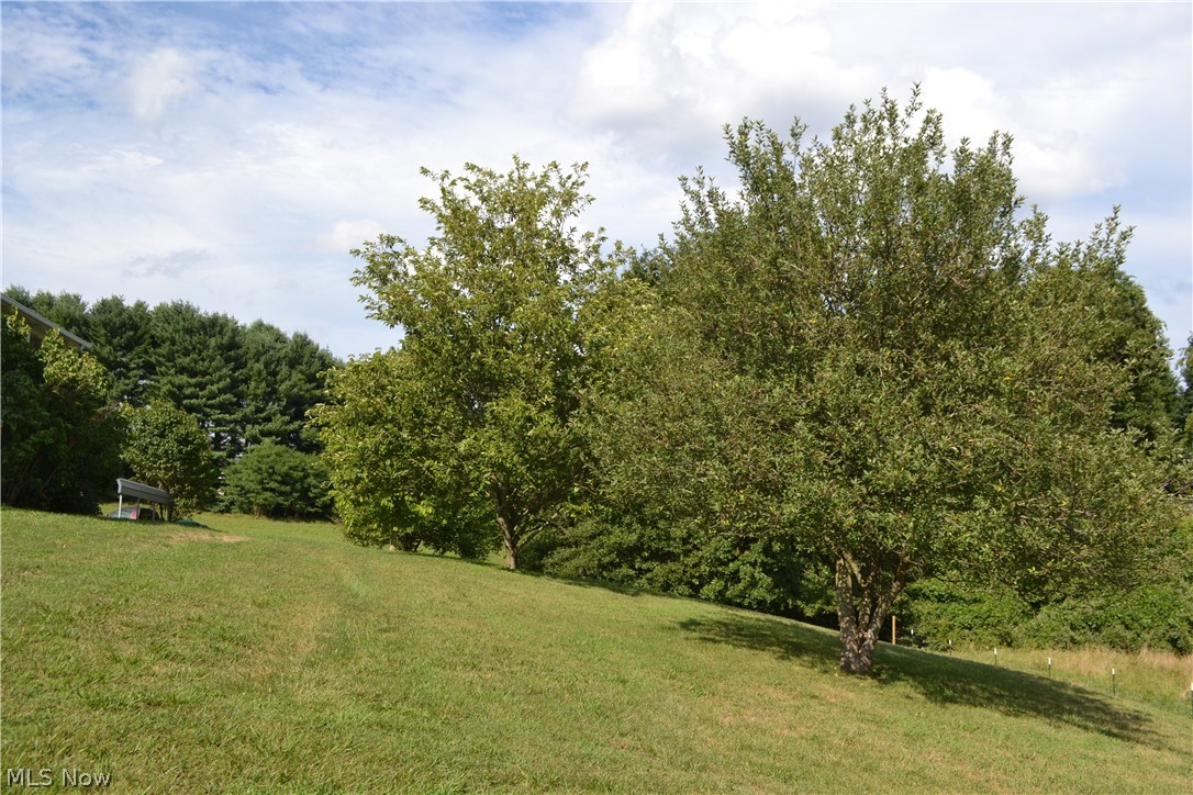 164 Hare Ridge Lane Washington, WV 26181 - Photo 23 of 25 Gallery Image 23